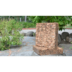 Coco Chips Coco Chips