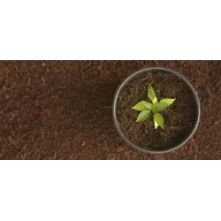 Cocopeat Compost Cocopeat Compost